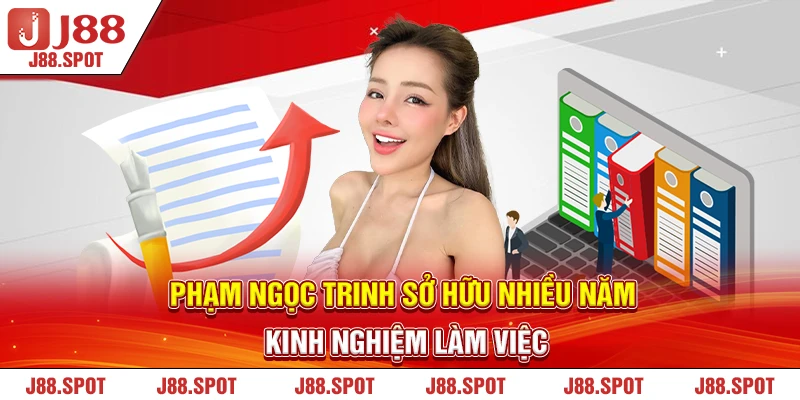 Phạm Ngọc Trinh sở hữu nhiều năm kinh nghiệm làm việc