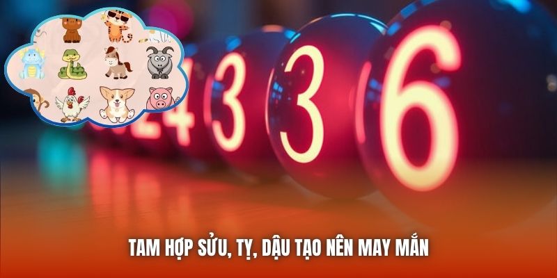 Tam hợp Sửu, Tỵ, Dậu tạo nên may mắn