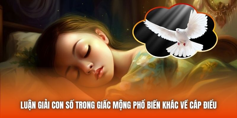 Luận giải con số trong giấc mộng phổ biến khác về cáp điểu